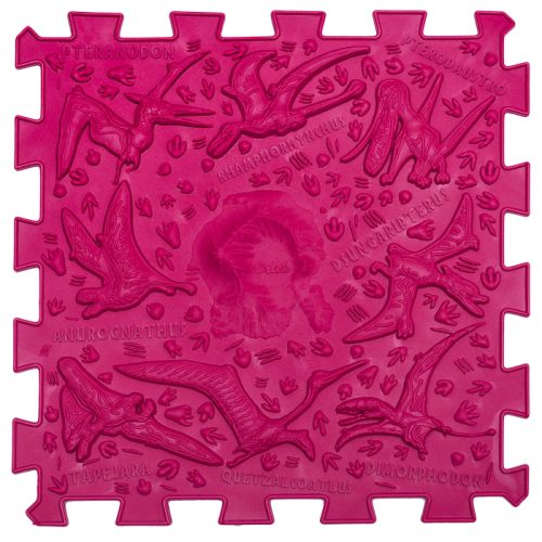Dinoszauruszok Puzzle 10 elemből álló masszázs szőnyeg - Image 10