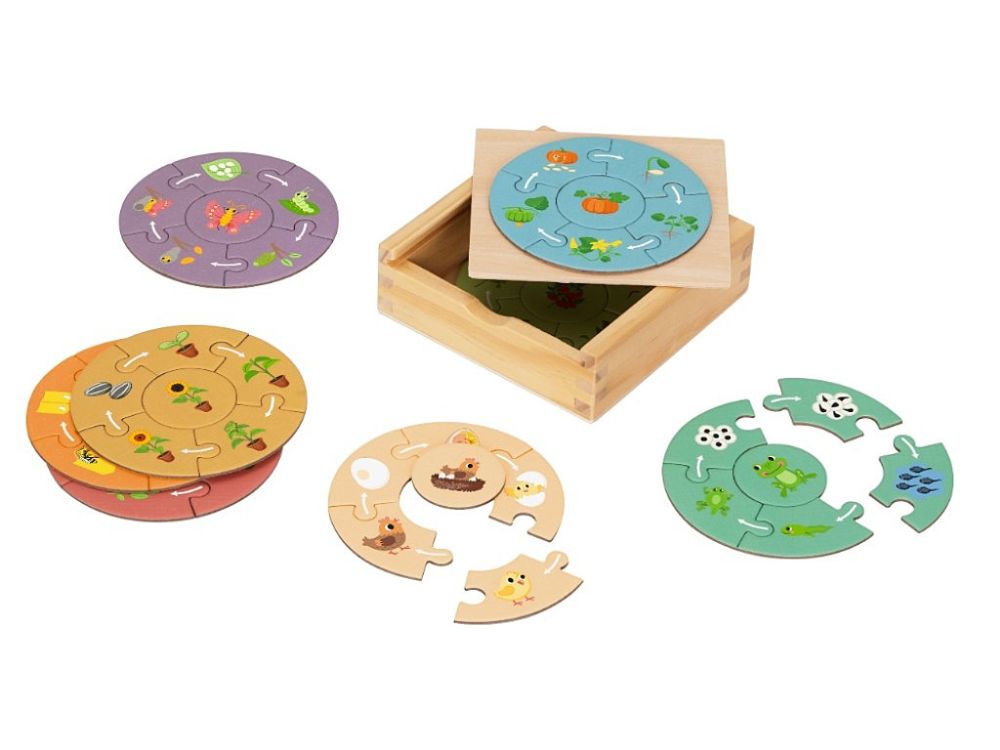 Fa kirakó gyerekeknek – életciklus - Image 6