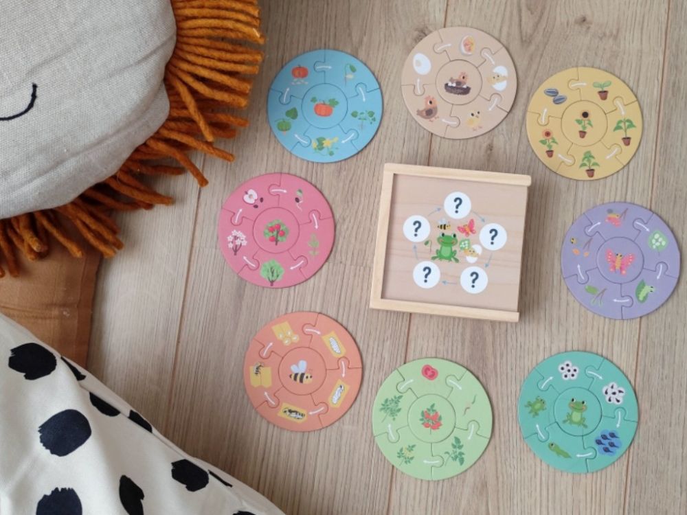 Fa kirakó gyerekeknek – életciklus - Image 4