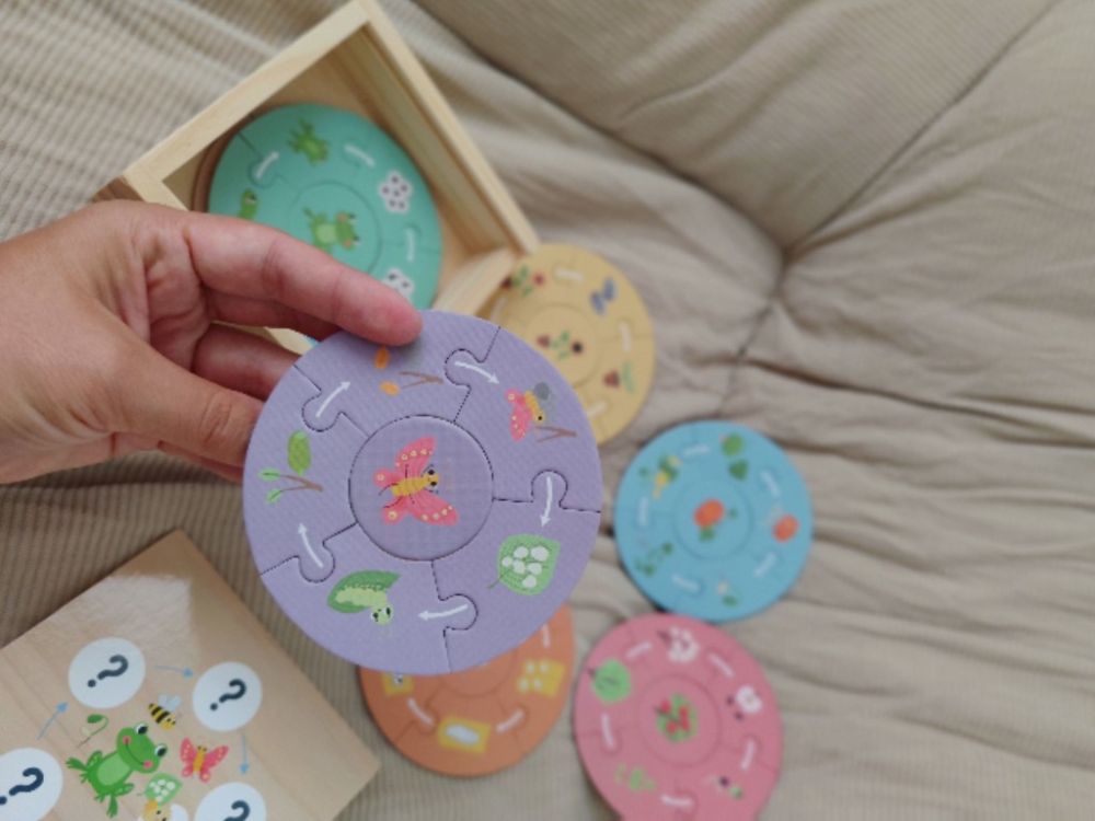 Fa kirakó gyerekeknek – életciklus - Image 2