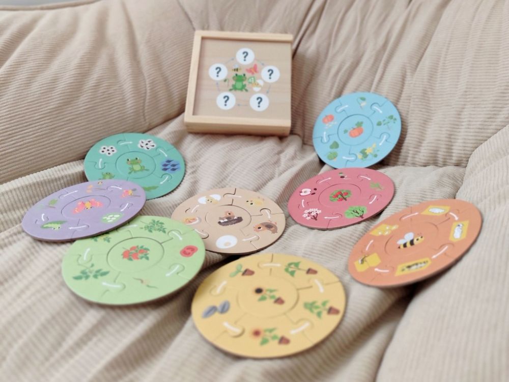 Fa kirakó gyerekeknek – életciklus - Image 3